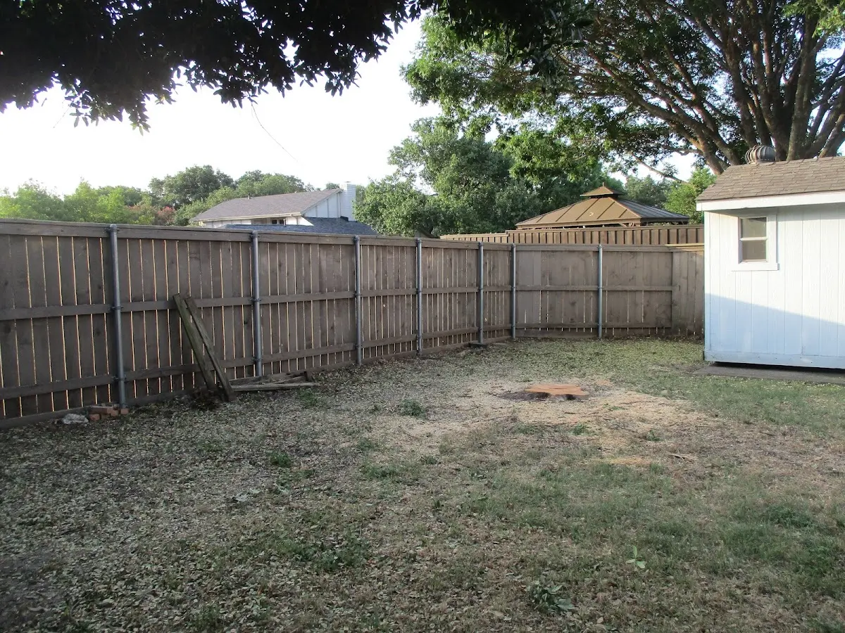 Cleared yard after professional tree removal in Cebolla